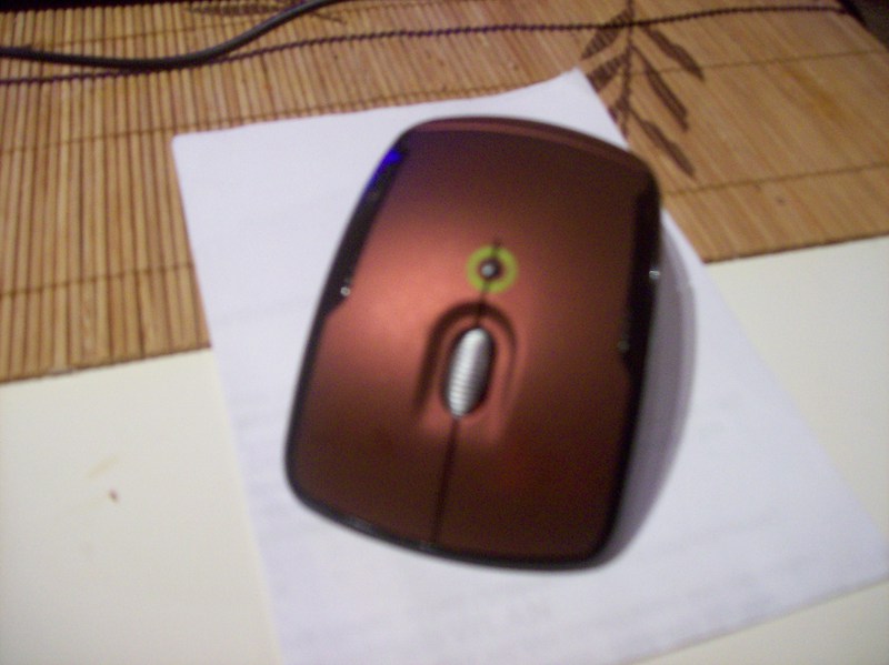 mouse21